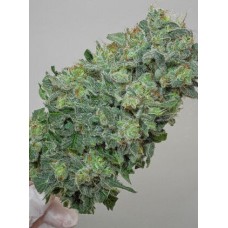 Семена конопли Flashberry Regular Регулярные Mandala